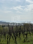 For sale building lot Balatonederics, 3223m2
