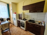 Debrecen Flat (panel) 8
