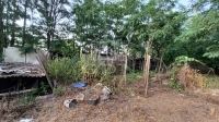 Baja Family House 9