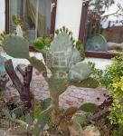 Sükösd Family House 8