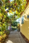 Baja Einfamilienhaus 1