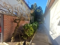 Baja Einfamilienhaus 0