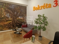 For rent office Budapest IX. district, 17m2