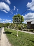 For sale building lot Gyermely, 822m2