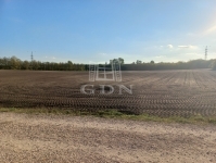 Dunaharaszti Telek 0