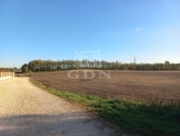 Dunaharaszti Telek 3