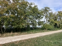 Kiskunlacháza Lakás (téglaépítésű) 18