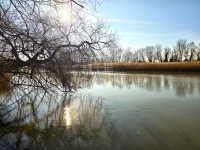 Dunaharaszti Частный дом 22