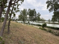 Dunaharaszti Telek 0