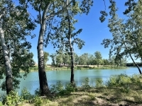 Dunaharaszti Telek 25