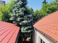 Budapest X. kerület Gewerbe - Geschäftsräume 8