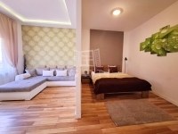 Budapest V. kerület Wohnung (Ziegel) 0