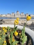 For sale flat Budapest, I. district, 93m2