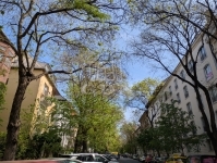 Verkauf wohnung (ziegel) Budapest VI. bezirk, 37m2