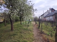 Vasvár Building lot 0