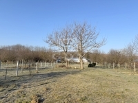 Zalaegerszeg Совмещенный дом 35