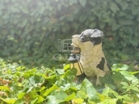 Zalaegerszeg Einfamilienhaus 19