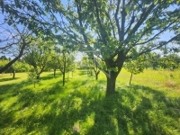 Zalaegerszeg 家庭别墅 22