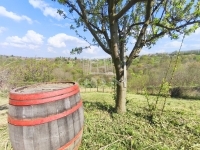 Zalaegerszeg 夏季别墅 10