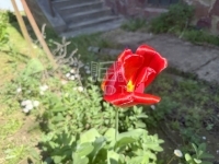 Zalaegerszeg Einfamilienhaus 13