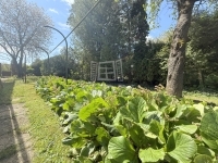 Zalaegerszeg Einfamilienhaus 9