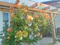 Böhönye 家庭别墅 24