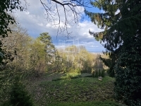 Budapest XII. kerület 家庭别墅 21