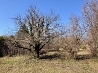 Diósd Building lot 3