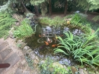 Budapest XXII. kerület 家庭别墅 19