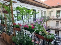 Budapest VII. kerület Lakás (téglaépítésű) 1