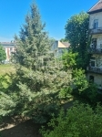 Budapest X. kerület Wohnung (Ziegel) 11