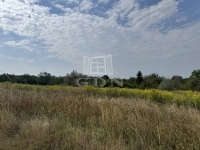 Lovasberény Farm 4