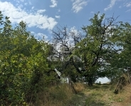 Lovasberény Farm 3