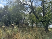 Lovasberény Farm 2