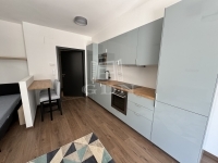 Budapest IX. kerület Wohnung (Ziegel) 1