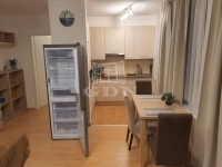 Budapest VII. kerület Wohnung (Ziegel) 1