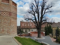 Budapest II. kerület Квартира (кирпичная) 22