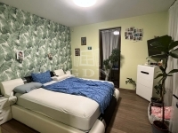 Kecskemét 家庭别墅 19