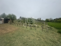 Mohács Частный дом 14