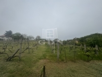 Mohács Частный дом 13