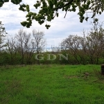 For sale building lot Balatonkenese, 10700m2