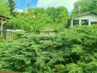 Veszprém Sorház 19