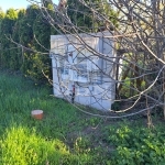 Balatonkenese 土地 7