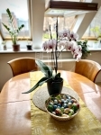 Budapest, VIII. kerület Wohnung - 102.900.000 HUF