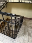 Budapest I. kerület Wohnung (Ziegel) 5