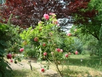 Érd Casa Familiala 8