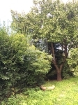 Maglód Family House 7