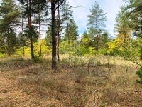 Kecskemét Einfamilienhaus 15