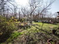 Lajosmizse Farm 10