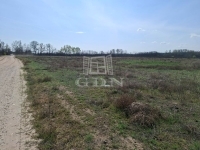 Ballószög Industrial area 5